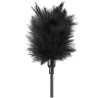 Fetish Fantasy Limited Edition - Kit De Teaser